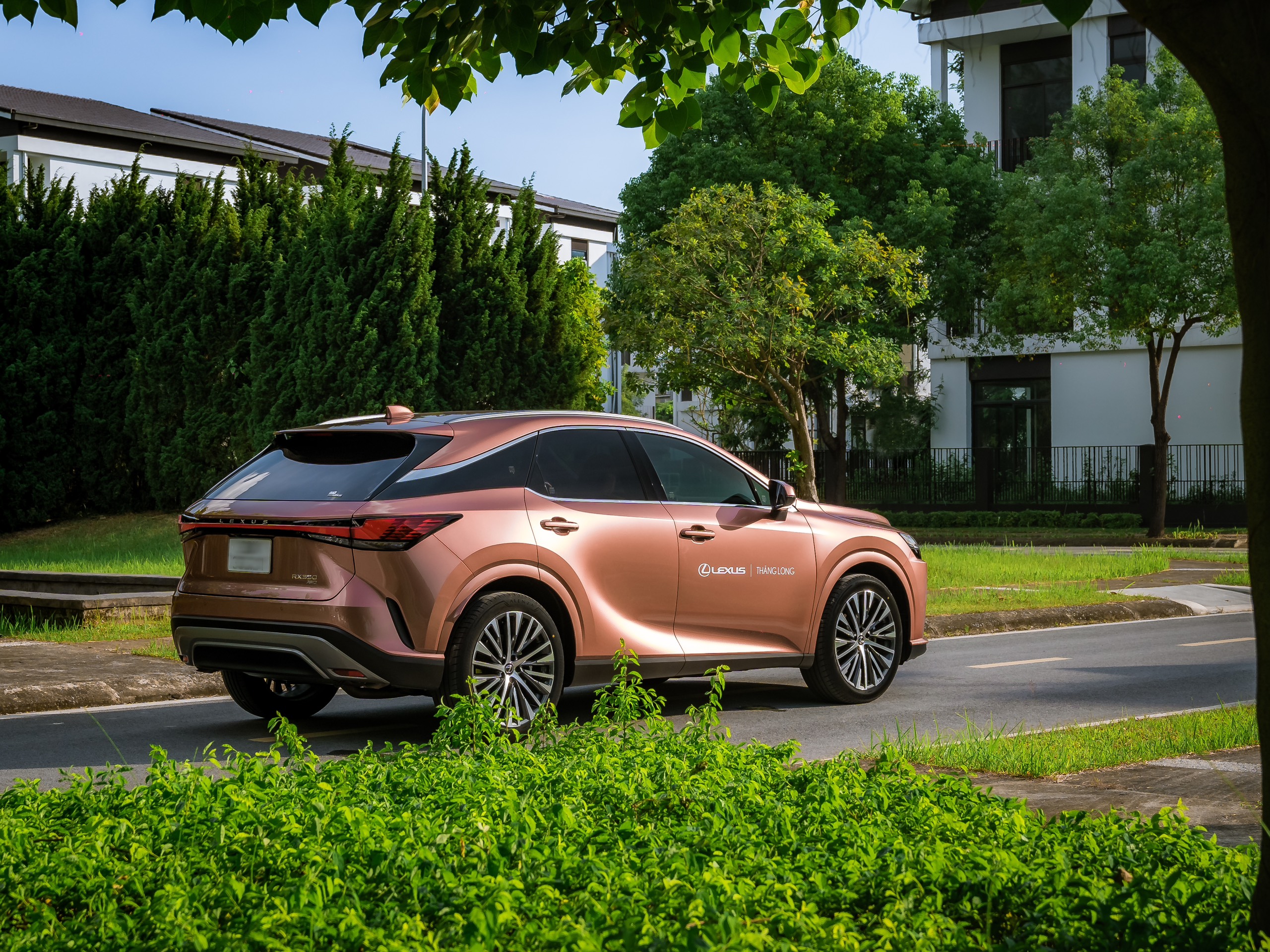 Lexus RX350 Premium 2024